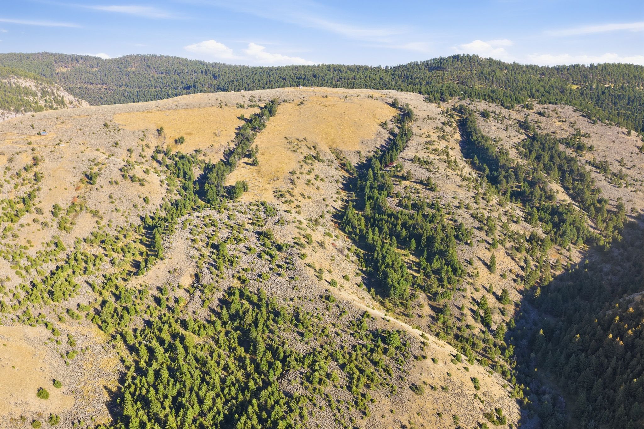 Tbd Broken Creek Rd Property Photo 5