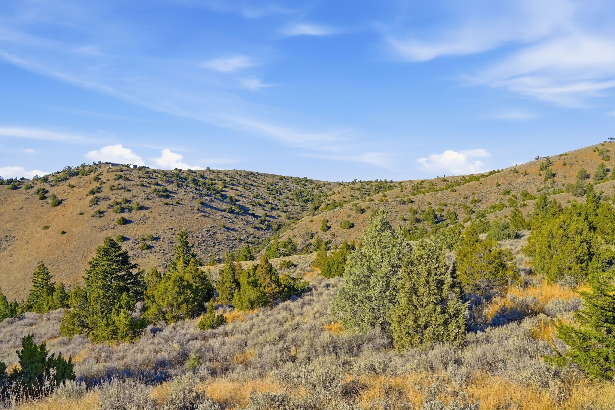 Tbd Broken Creek Road Property Photo 4