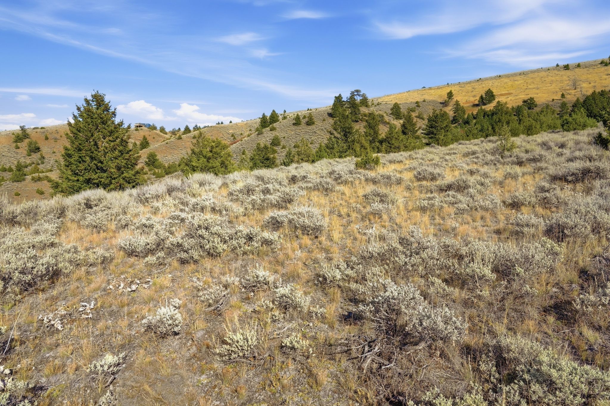 Tbd Broken Creek Road Property Photo 21