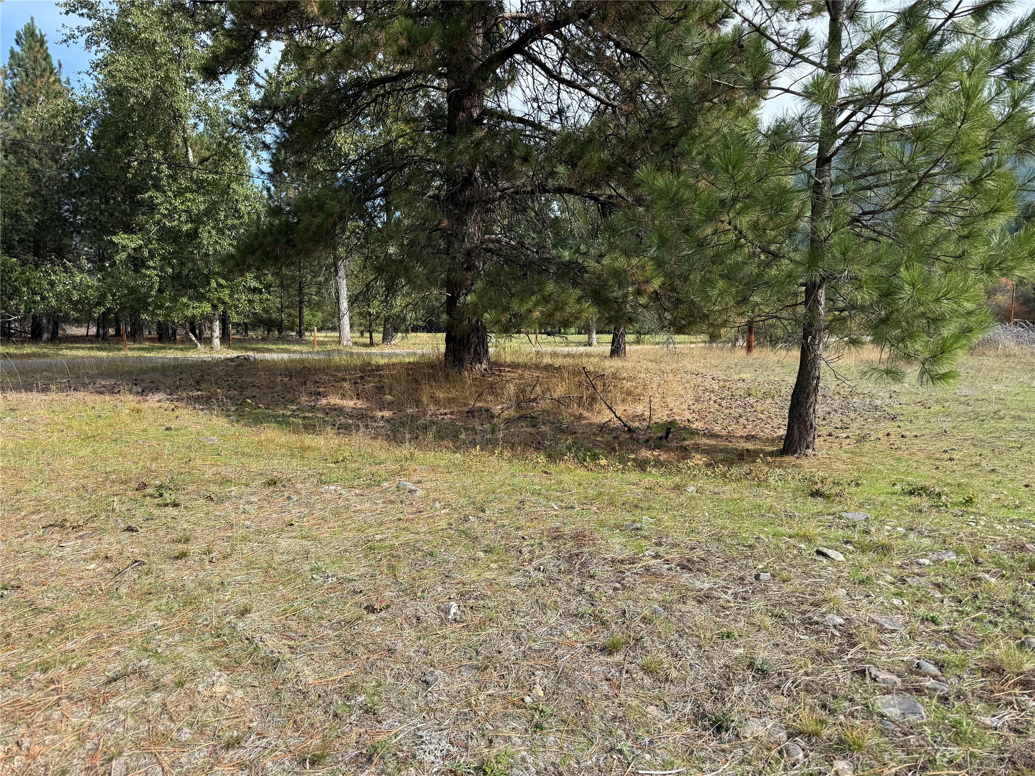 276 Dolphin Way Property Photo 31