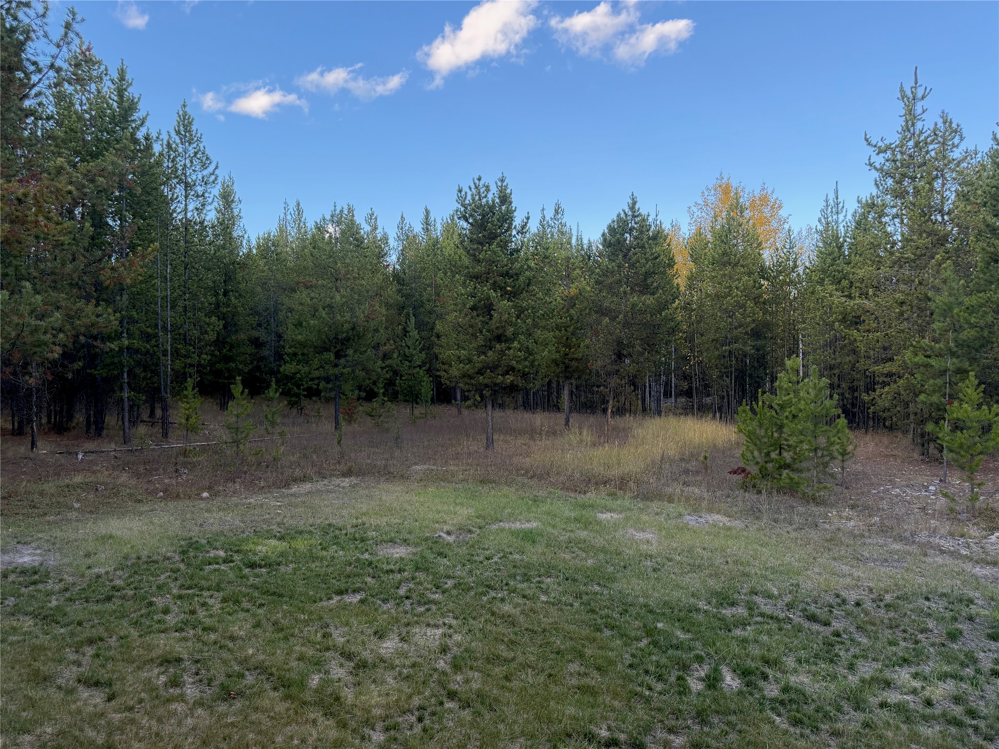 10601 North Fork Road Property Photo 29
