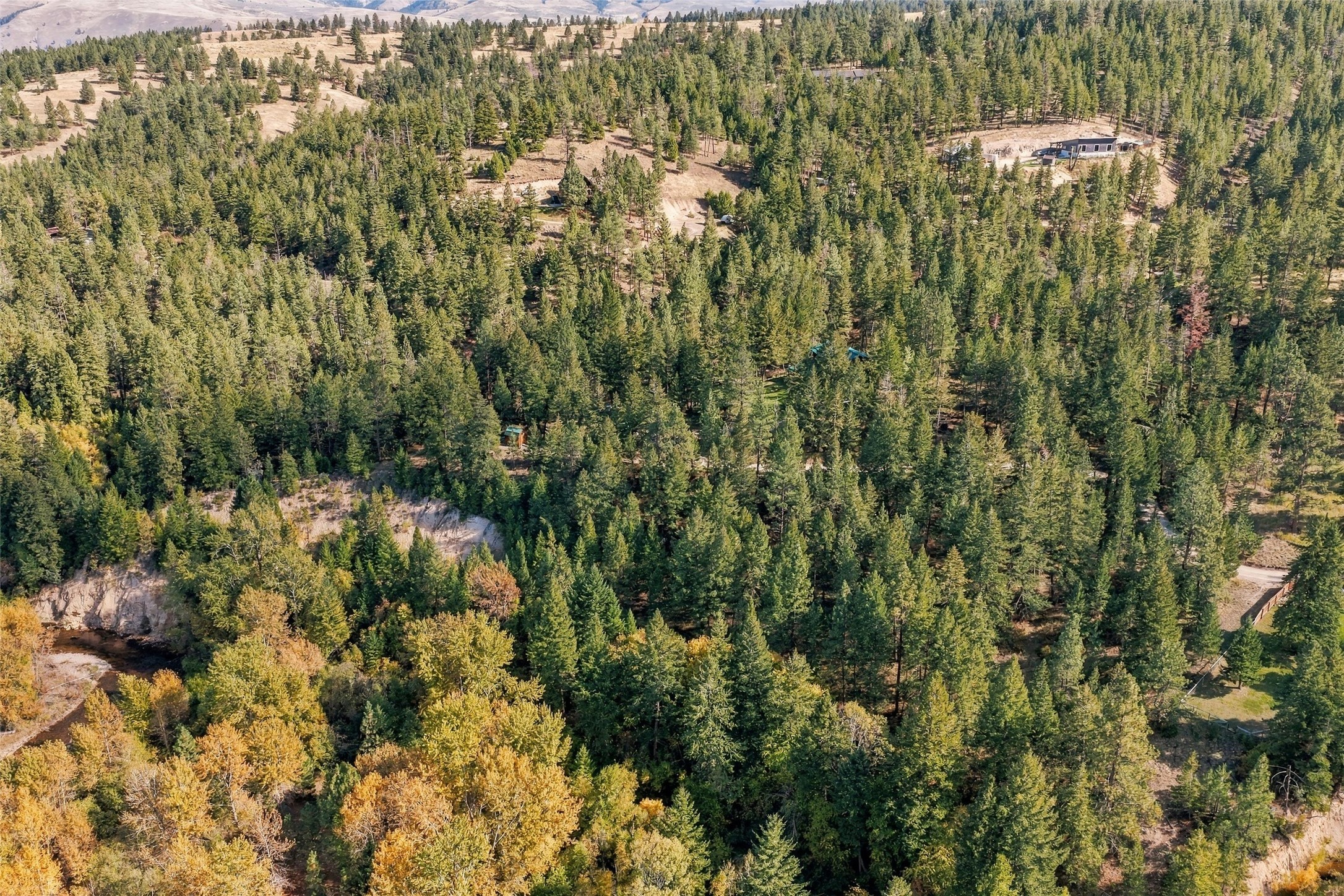 13015 Balsamroot Road Property Photo 48