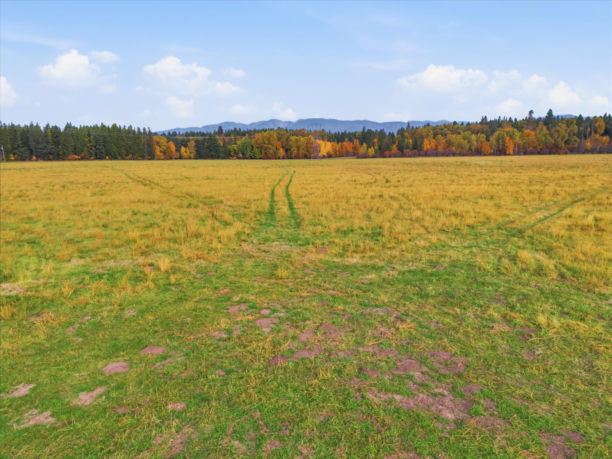 6255 Us Hwy 2 W Property Photo 9