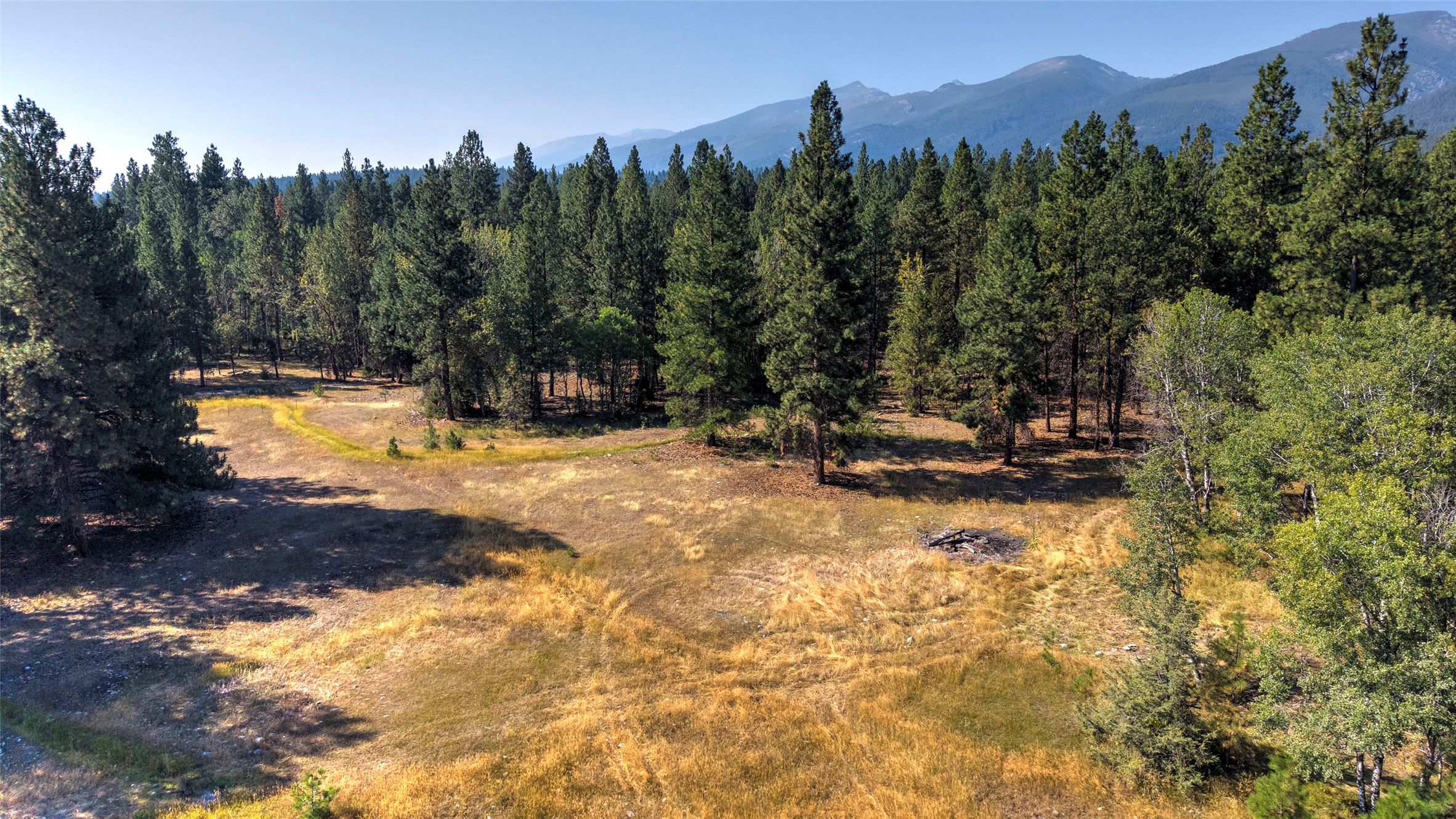 799 Bear Creek Trail Property Photo 6