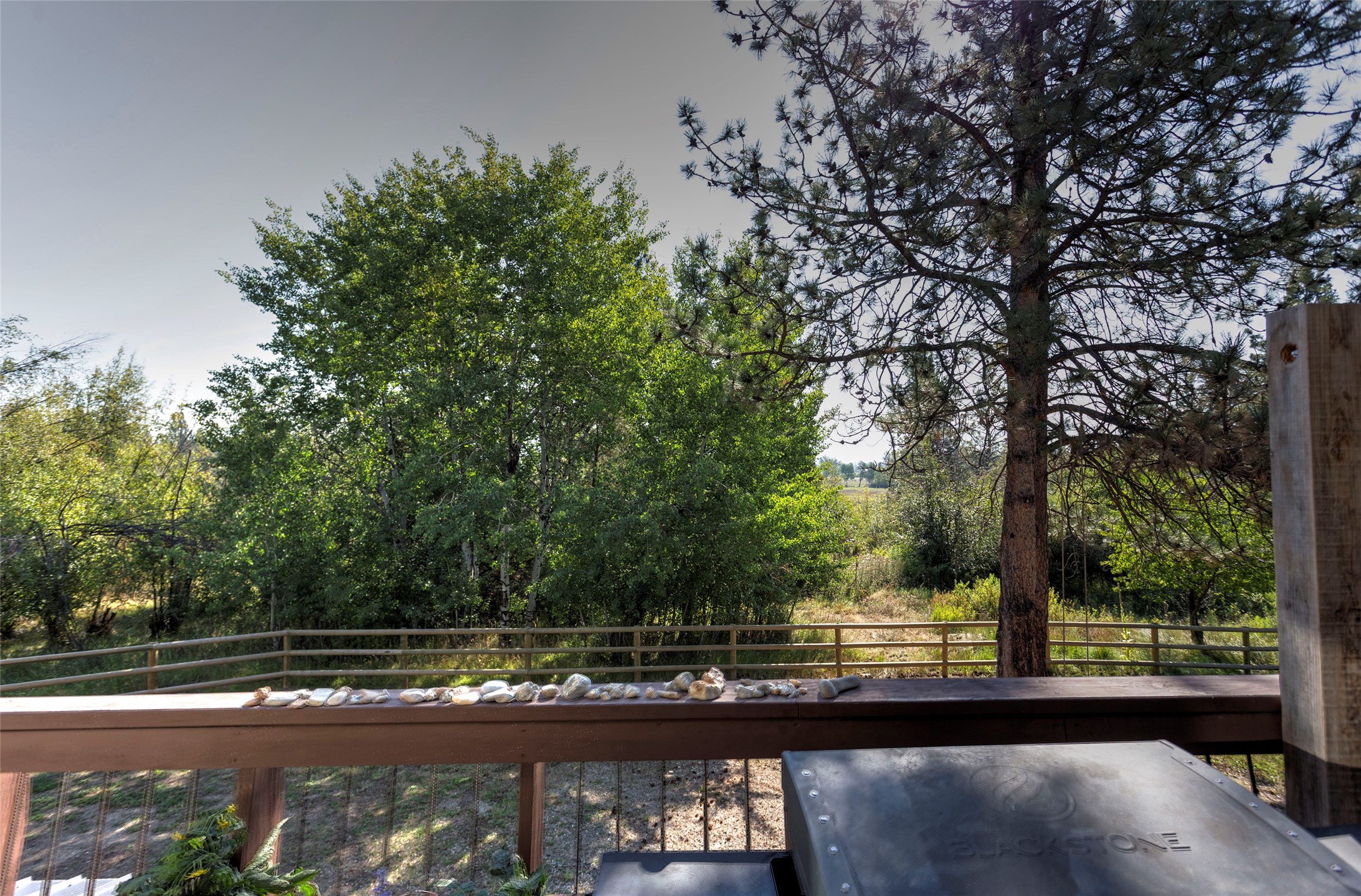 799 Bear Creek Trail Property Photo 46