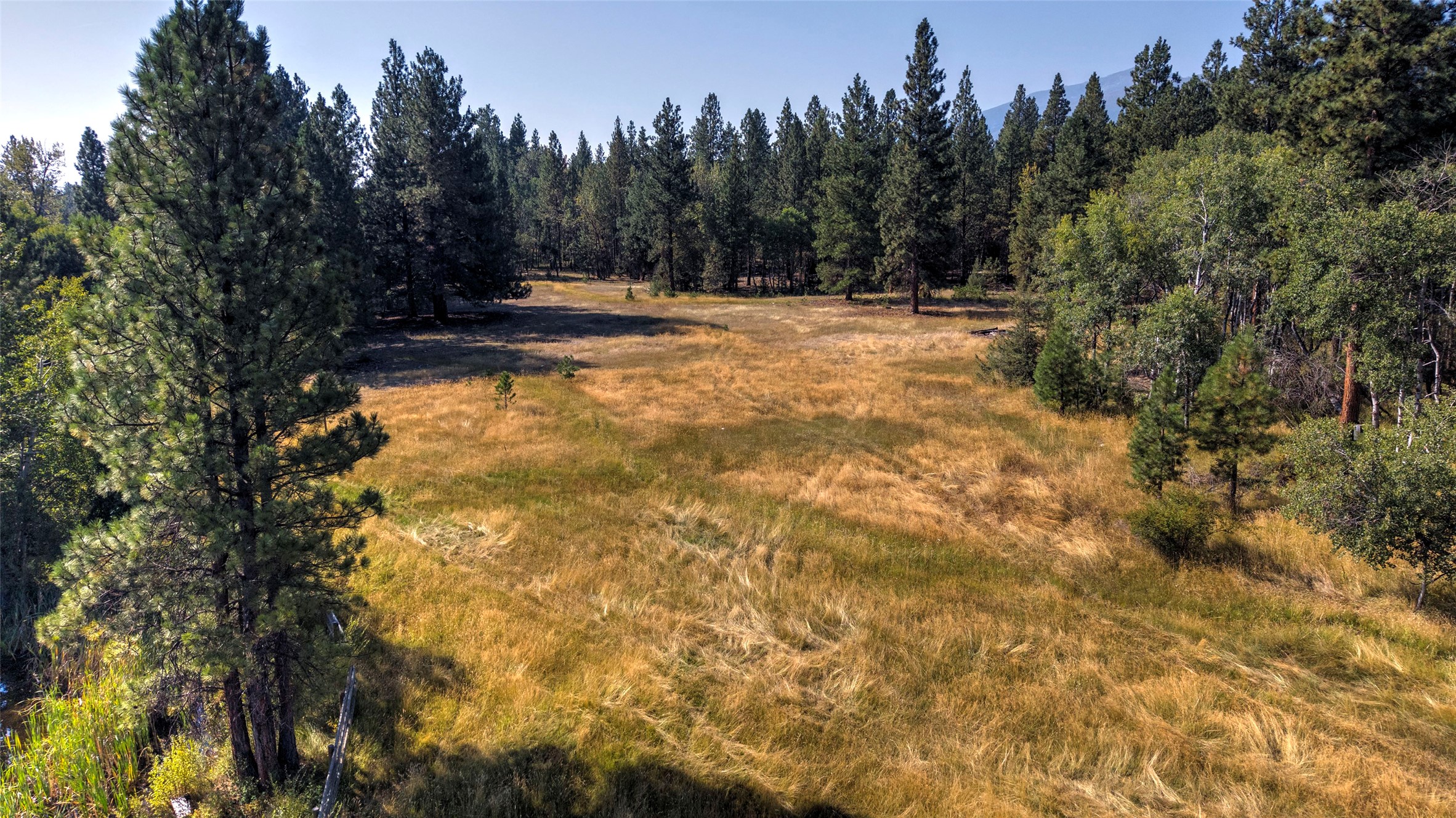 799 Bear Creek Trail Property Photo 75