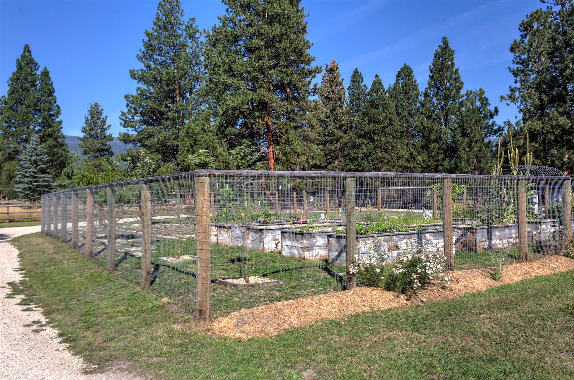 799 Bear Creek Trail Property Photo 86