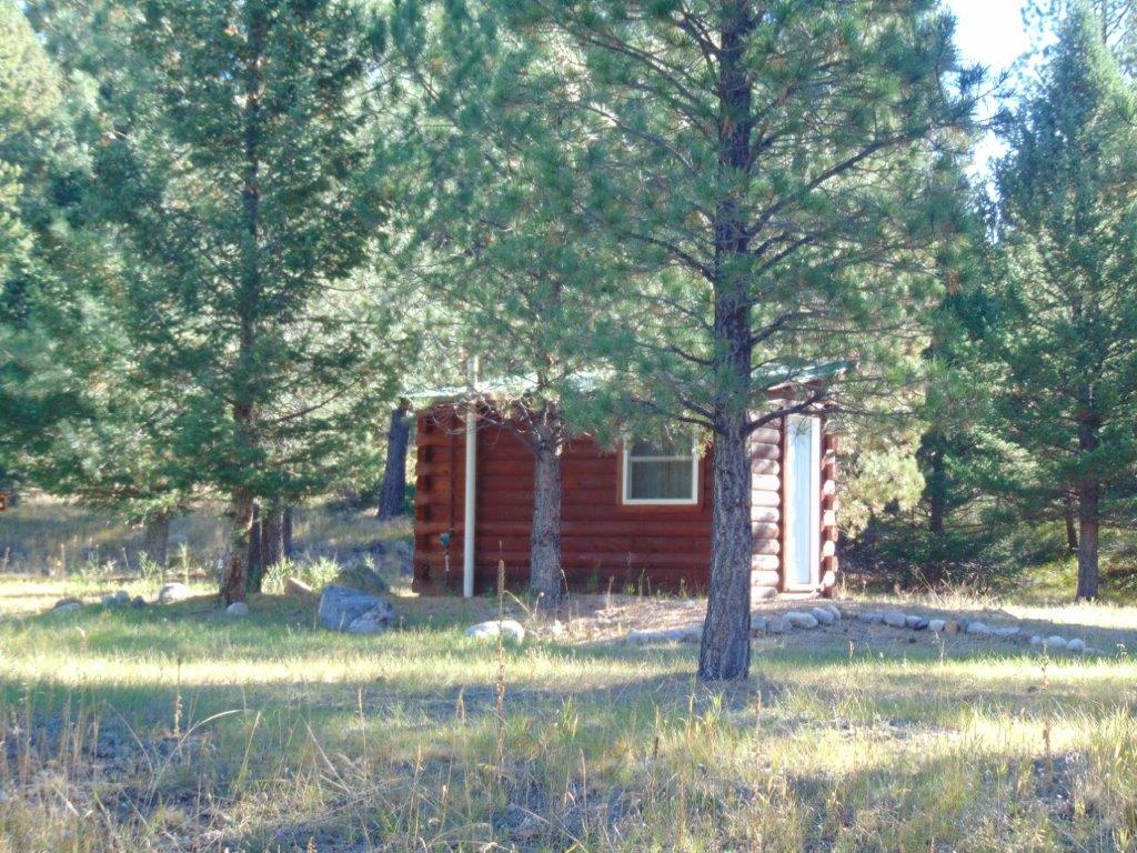 8872 Elk Trail Loop Property Photo 16
