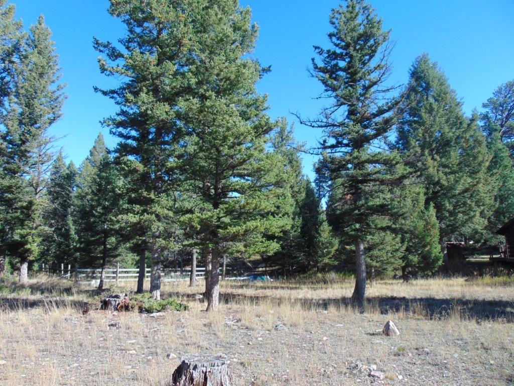 8872 Elk Trail Loop Property Photo 25