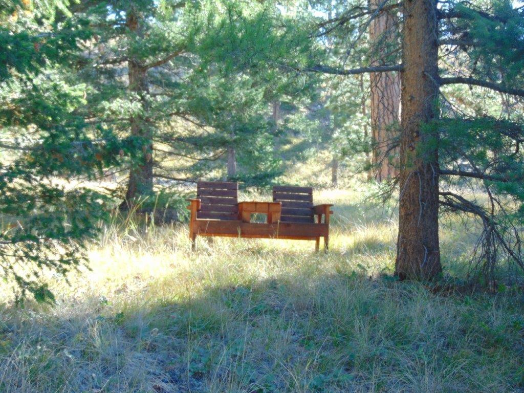 8872 Elk Trail Loop Property Photo 29