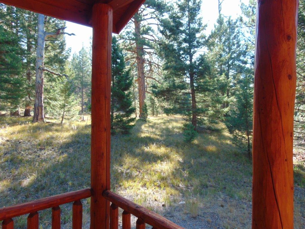8872 Elk Trail Loop Property Photo 42