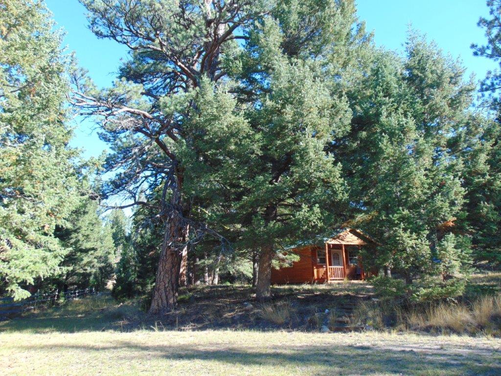 8872 Elk Trail Loop Property Photo 43