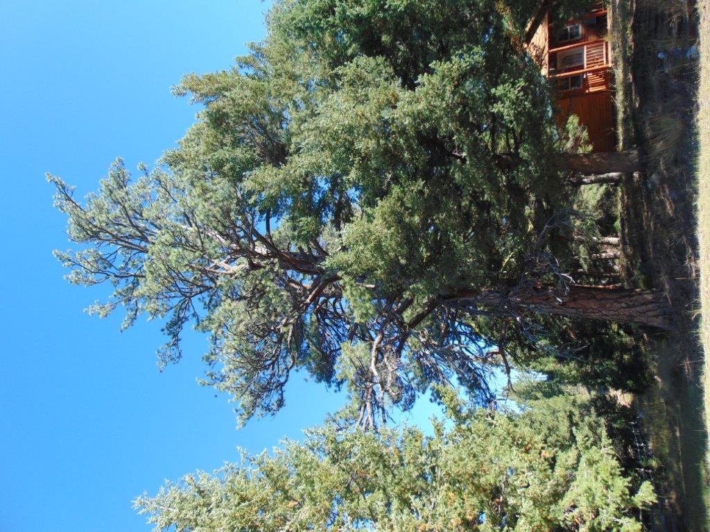 8872 Elk Trail Loop Property Photo 44