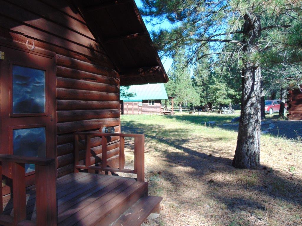 8872 Elk Trail Loop Property Photo 61