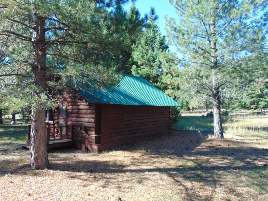 8872 Elk Trail Loop Property Photo 66