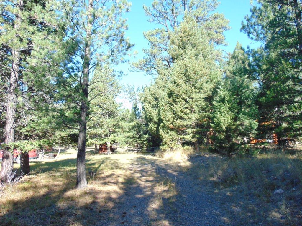8872 Elk Trail Loop Property Photo 77