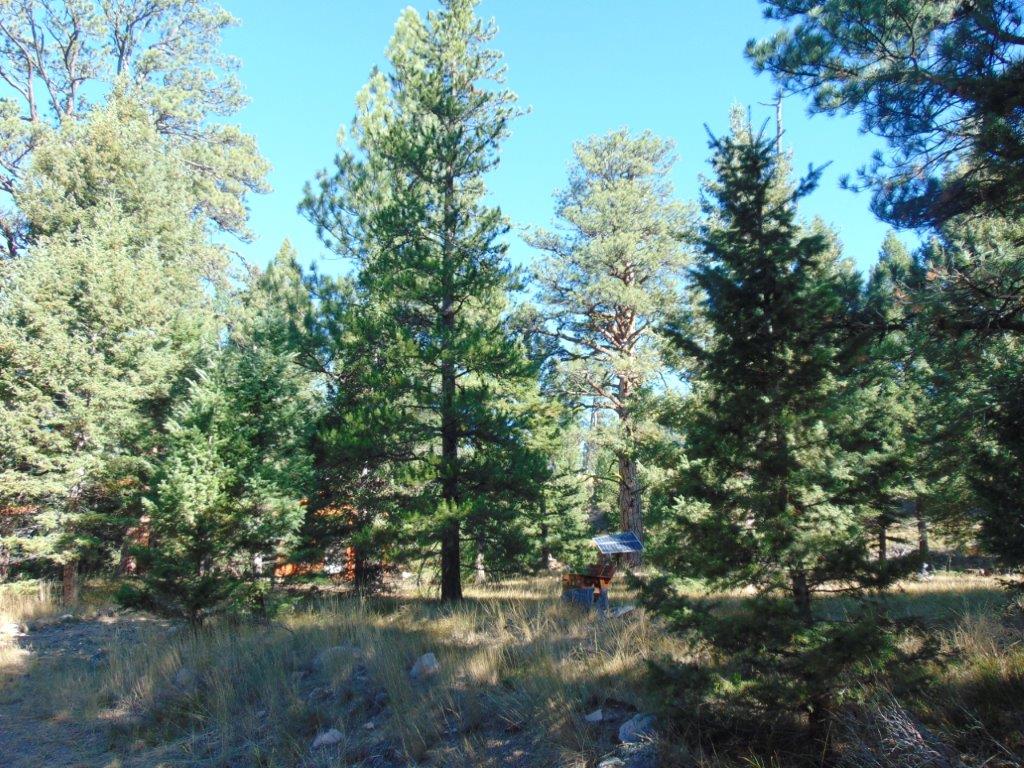 8872 Elk Trail Loop Property Photo 78