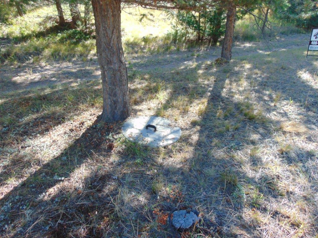 8872 Elk Trail Loop Property Photo 79