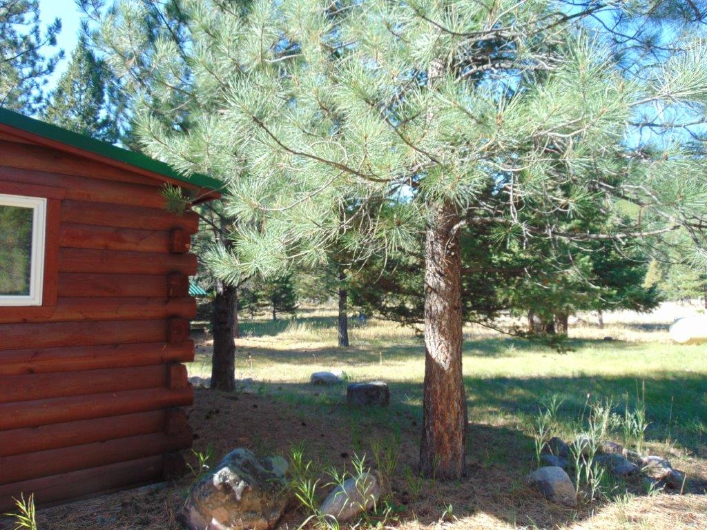 8872 Elk Trail Loop Property Photo 81