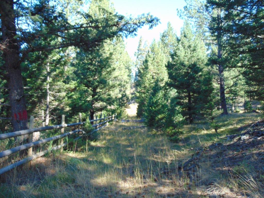 8872 Elk Trail Loop Property Photo 83