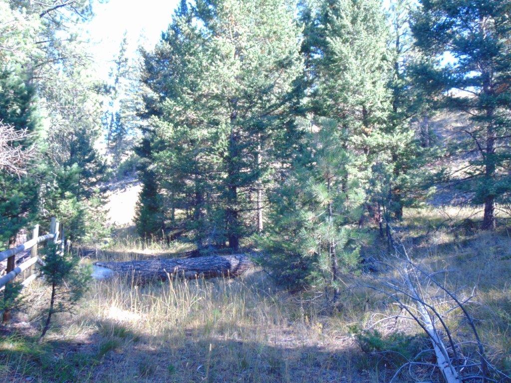 8872 Elk Trail Loop Property Photo 85