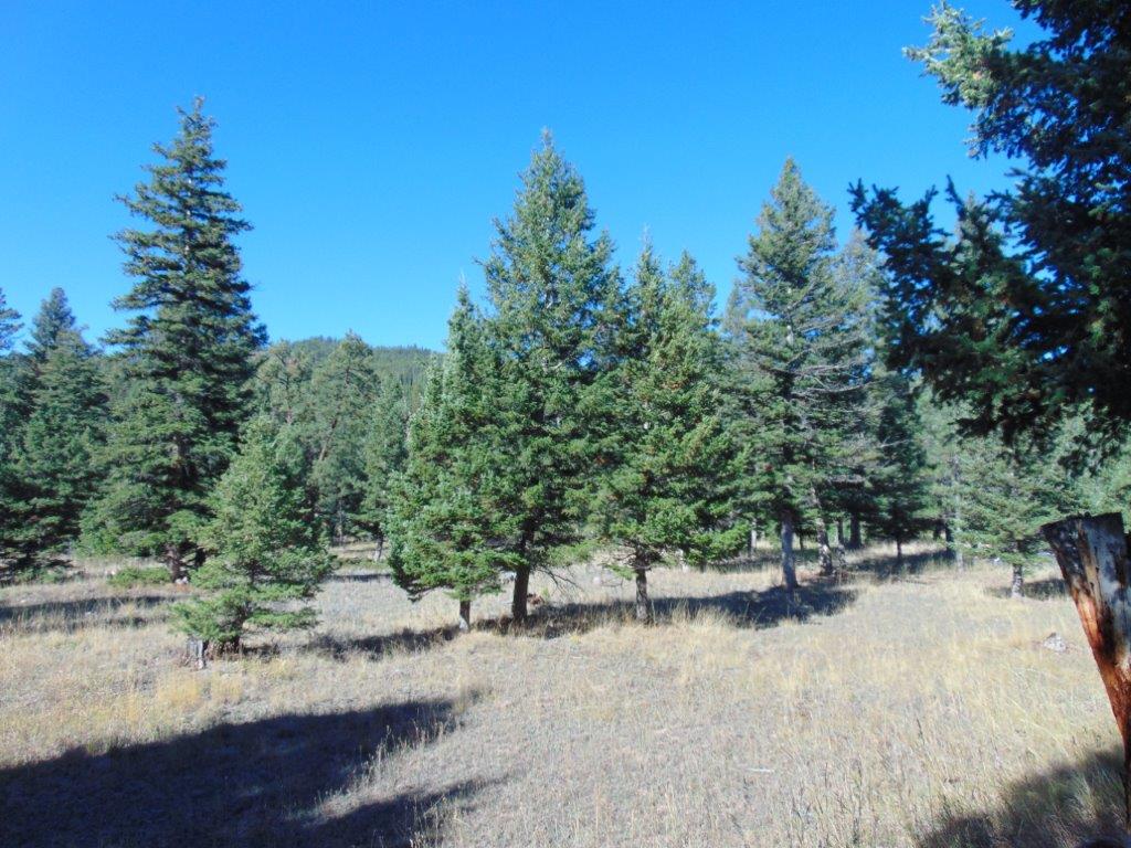 8872 Elk Trail Loop Property Photo 92
