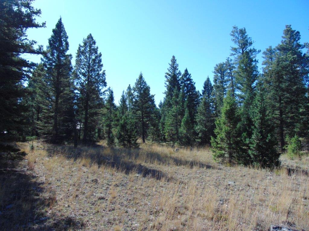 8872 Elk Trail Loop Property Photo 94
