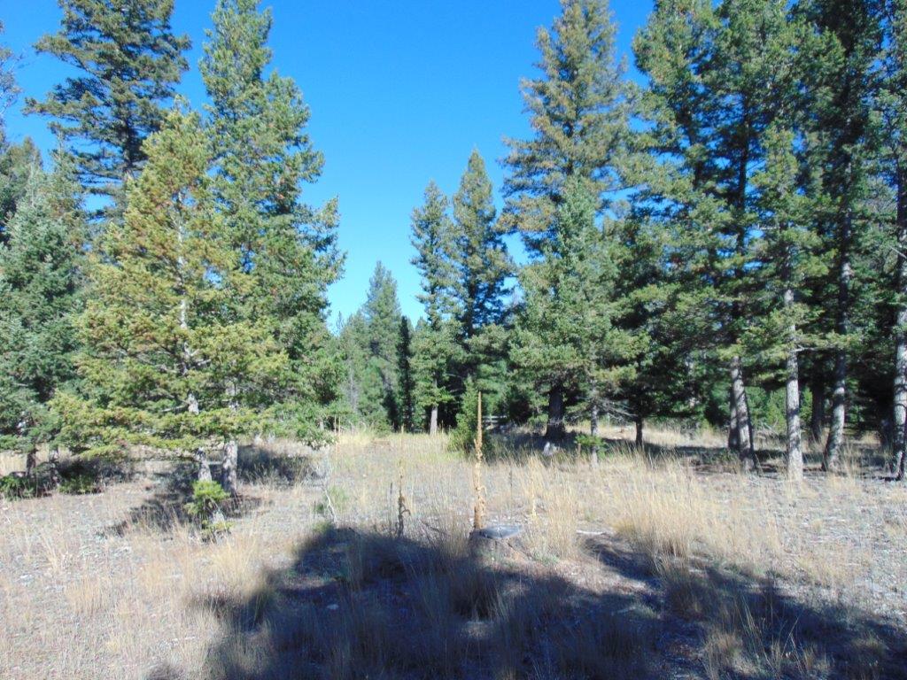 8872 Elk Trail Loop Property Photo 95