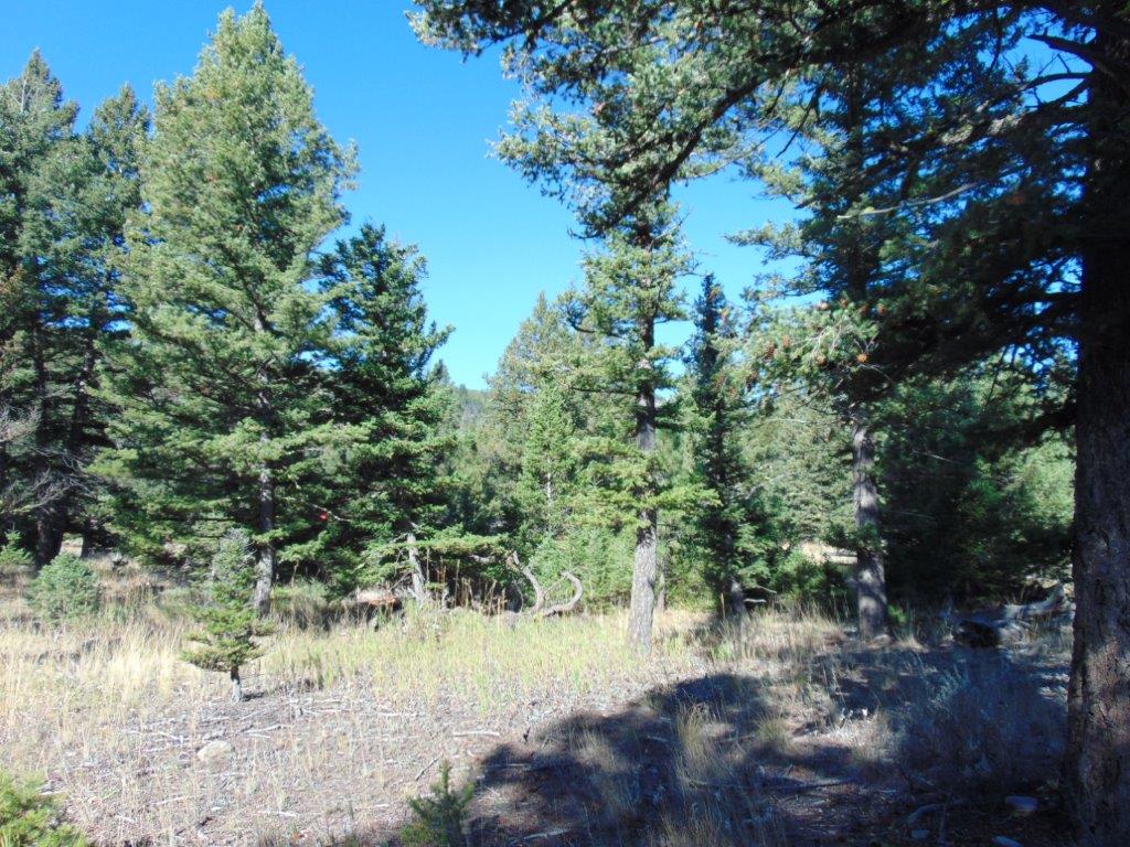 8872 Elk Trail Loop Property Photo 96