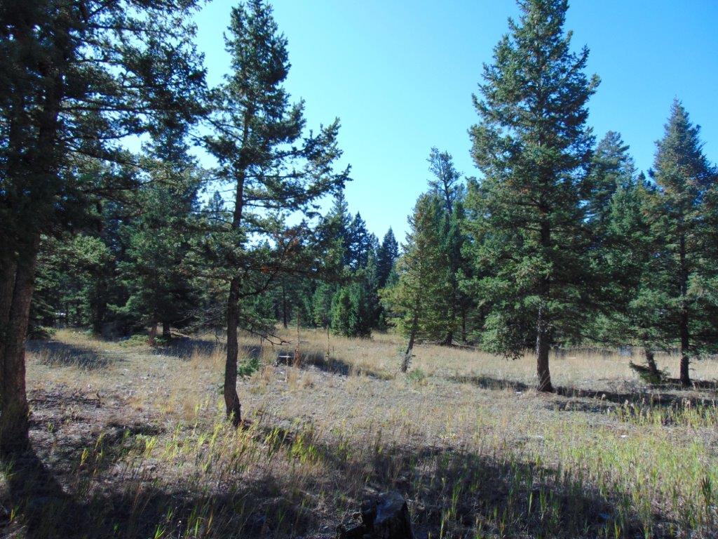 8872 Elk Trail Loop Property Photo 97