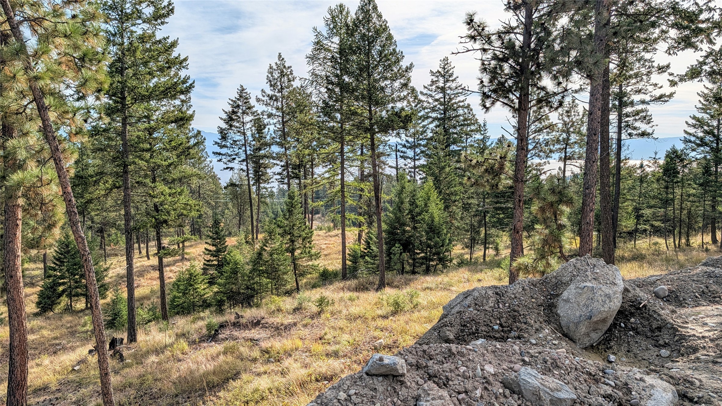 6430 Us Hwy 93 S Property Photo 41