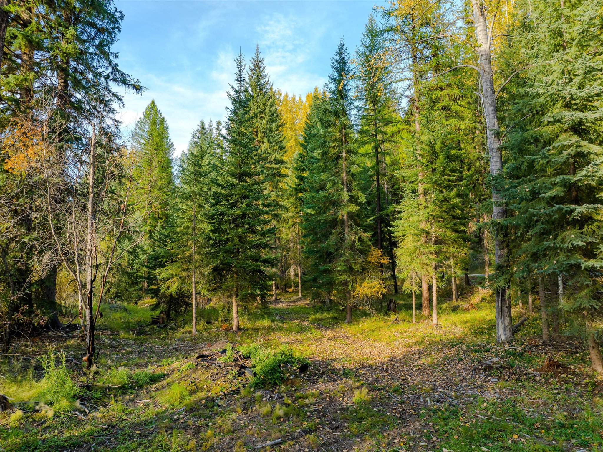 250 Sunny Side Drive Property Photo 44