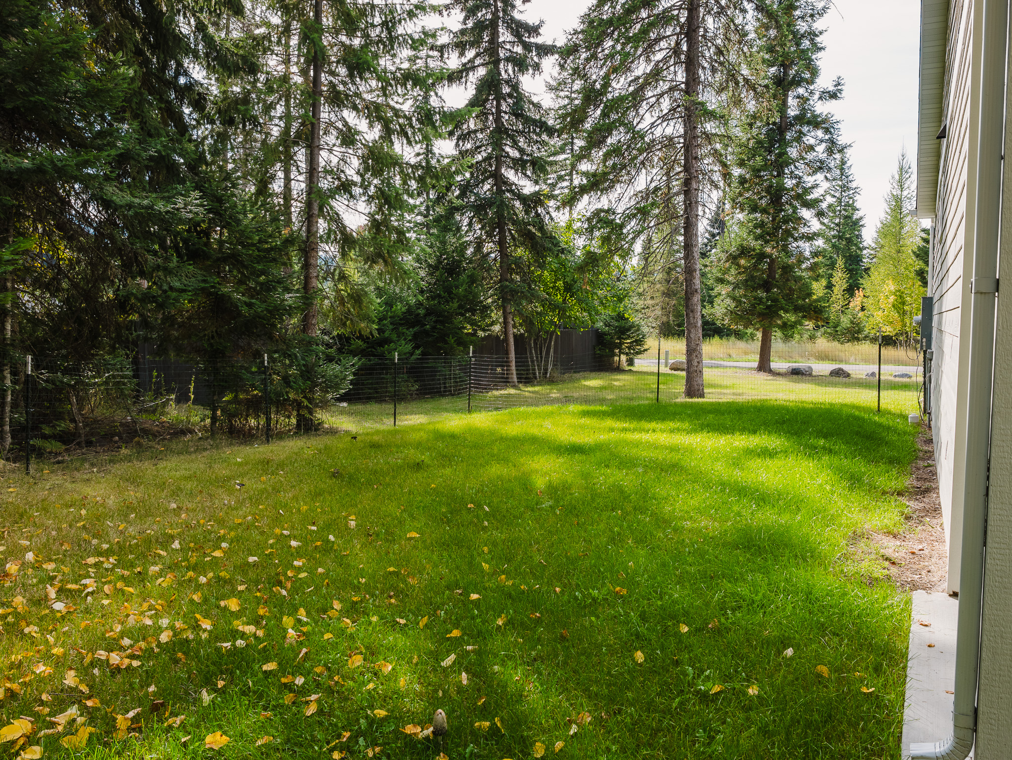 13583 Rising Wolf Drive Property Photo 24