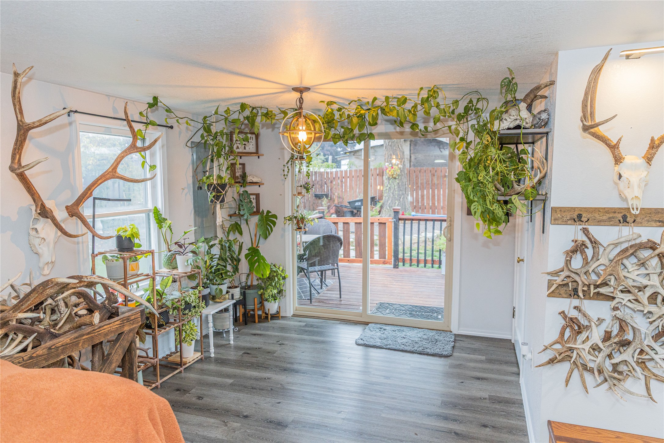 61 Evergreen Street Property Photo 18