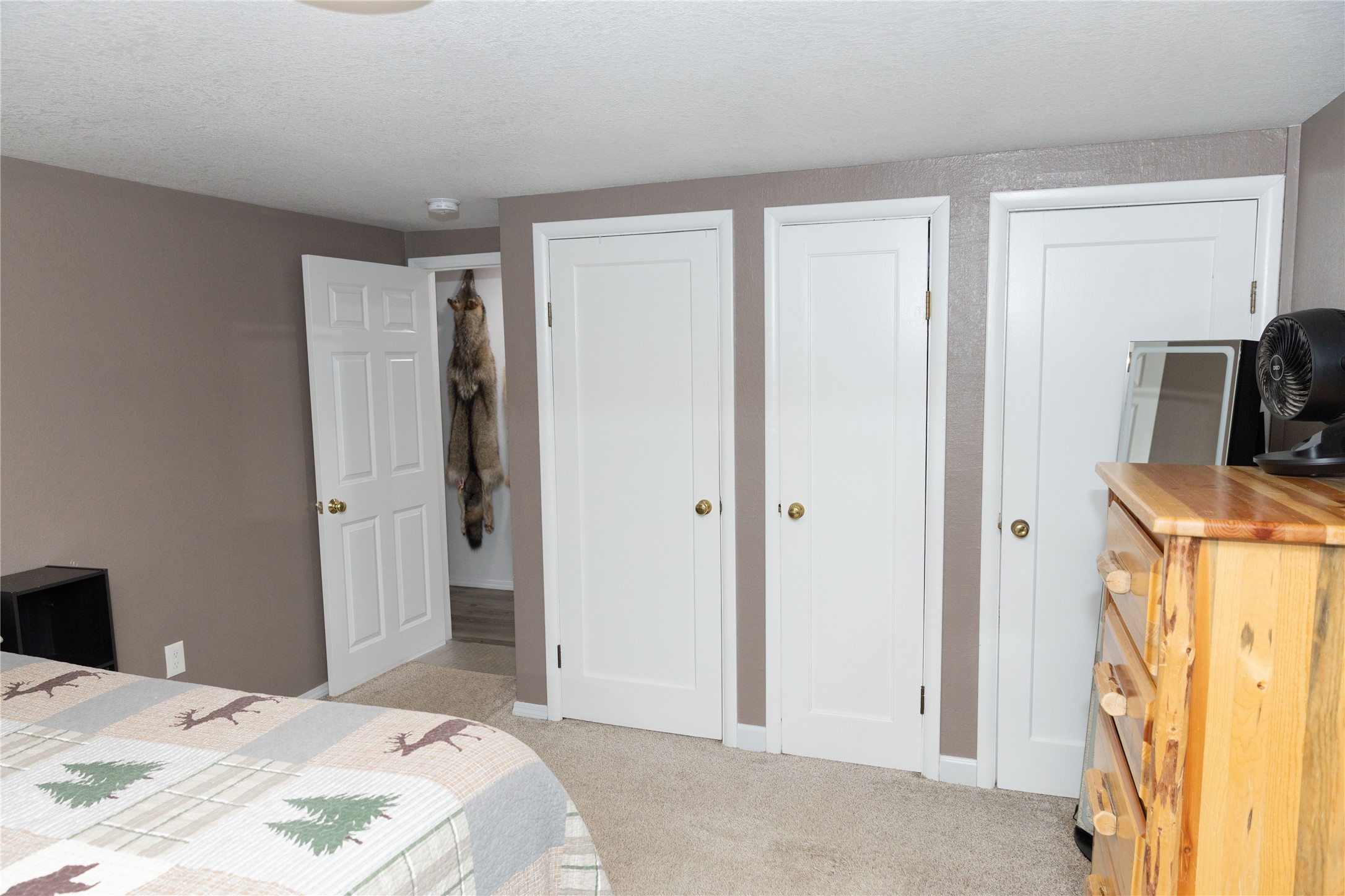 61 Evergreen Street Property Photo 26
