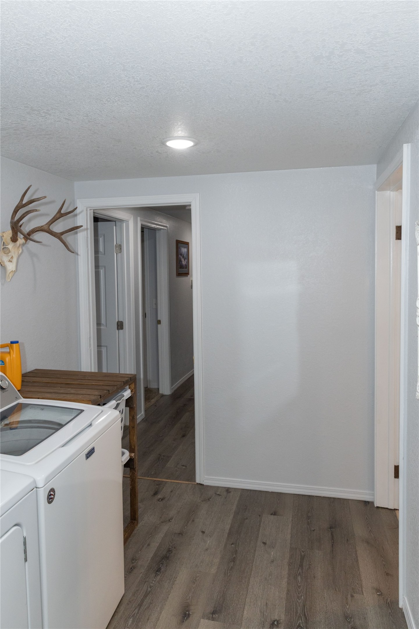 61 Evergreen Street Property Photo 29