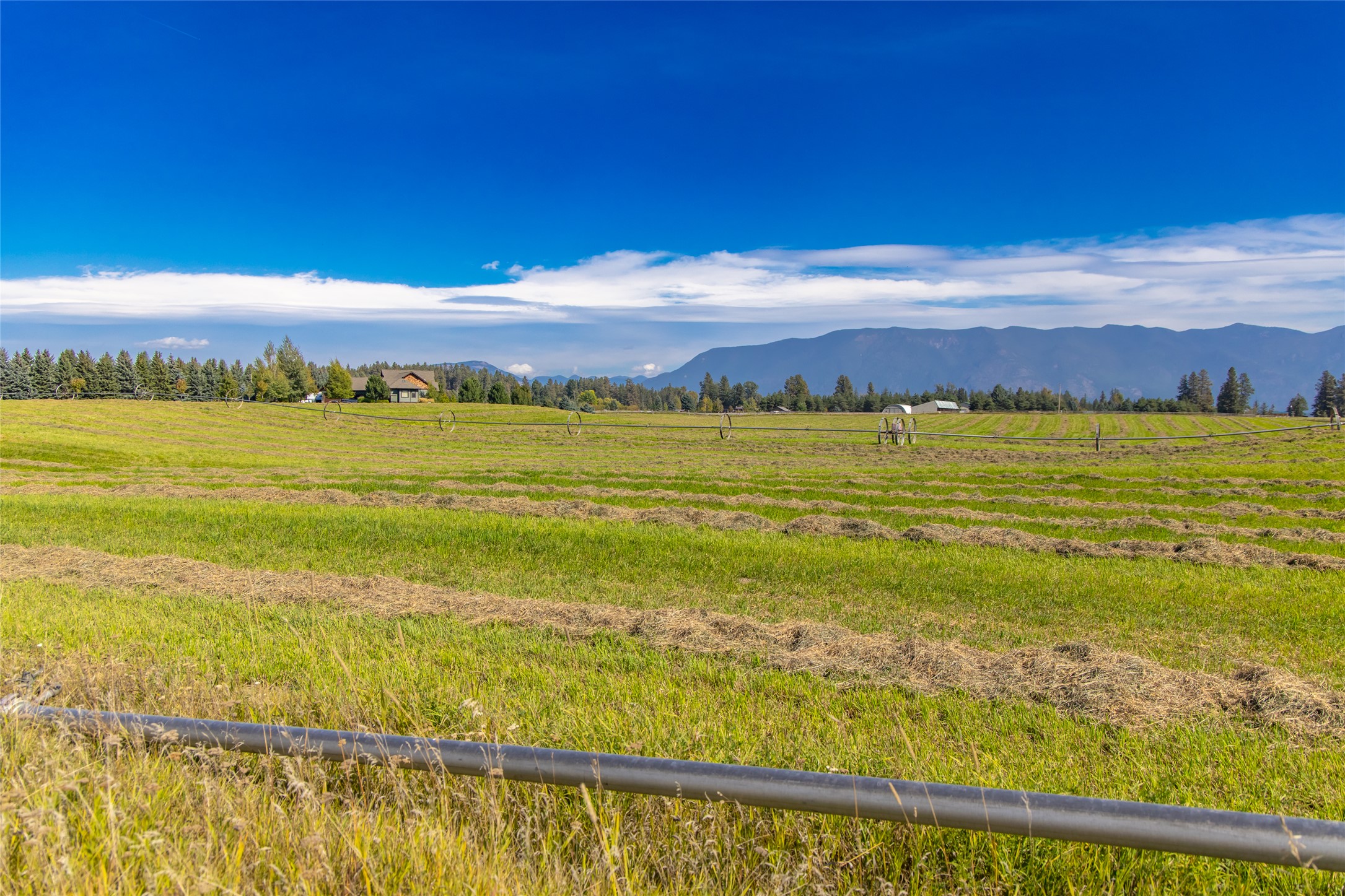 167 Cimarron Trail Property Photo 8