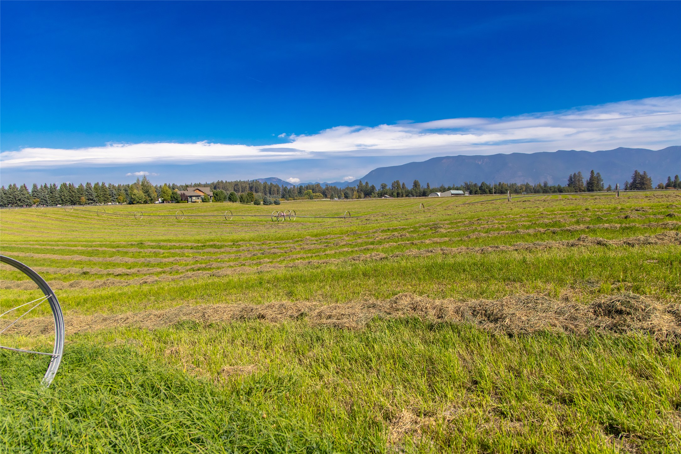 167 Cimarron Trail Property Photo 11
