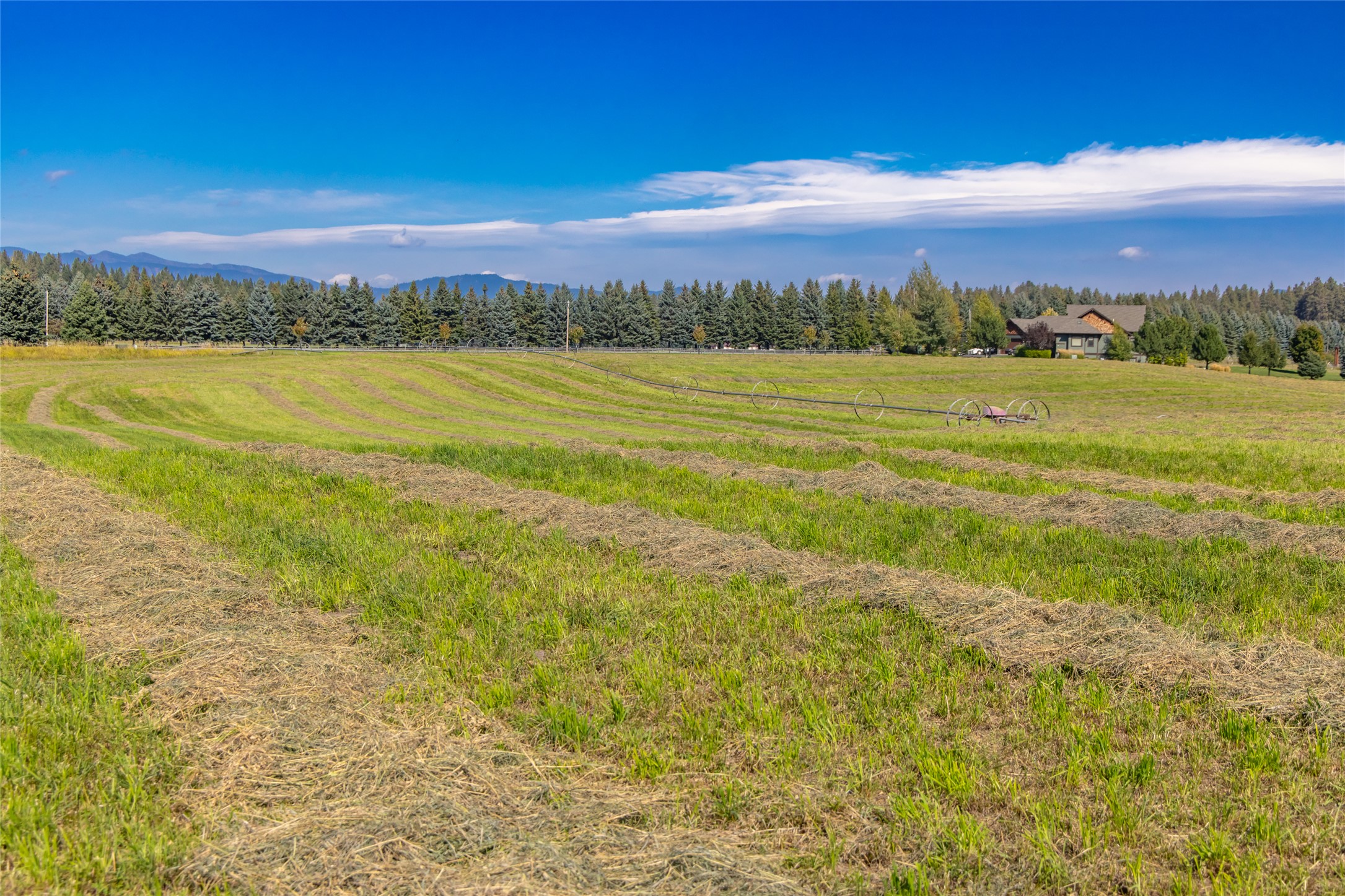 167 Cimarron Trail Property Photo 17