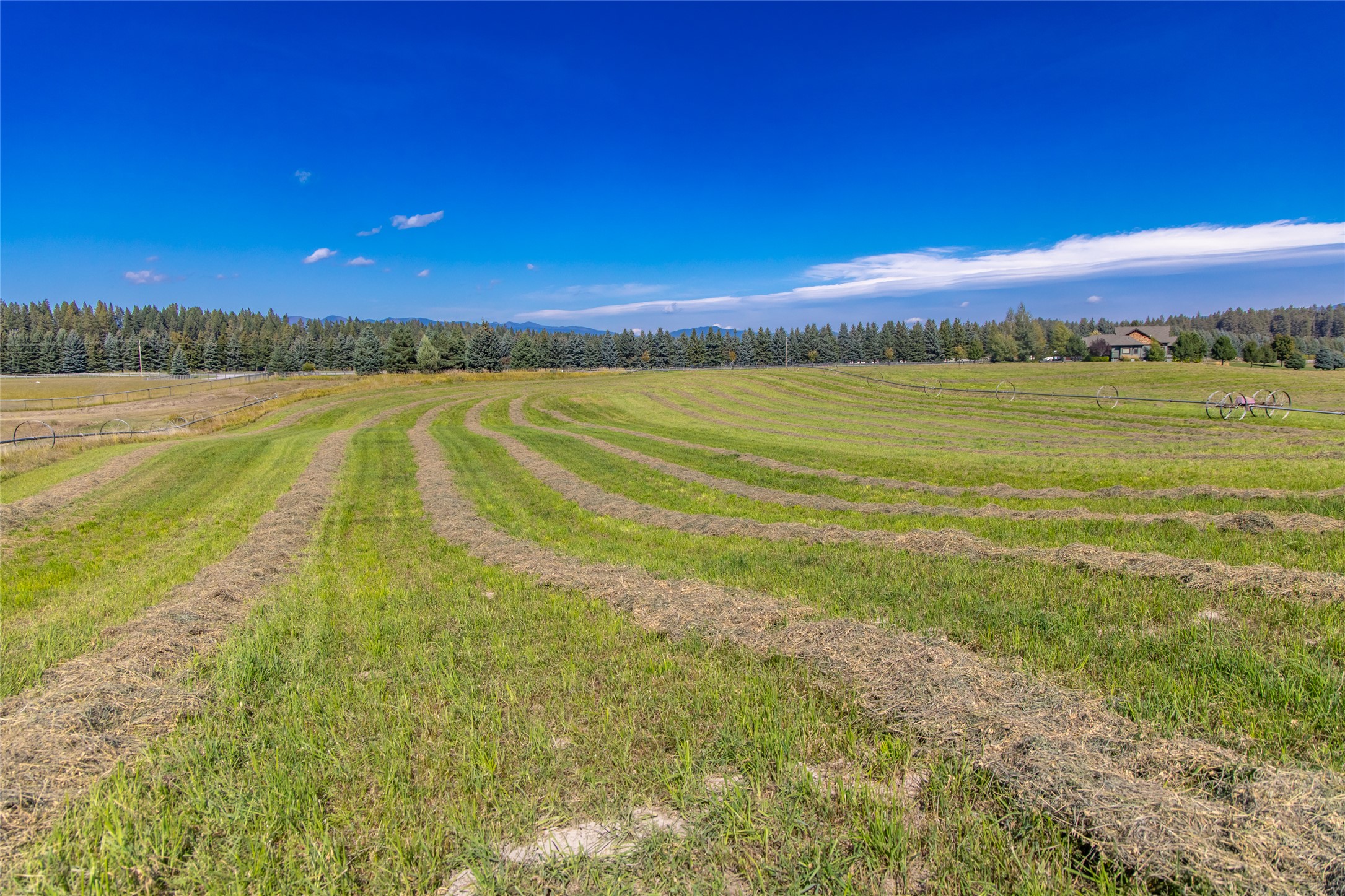 167 Cimarron Trail Property Photo 18