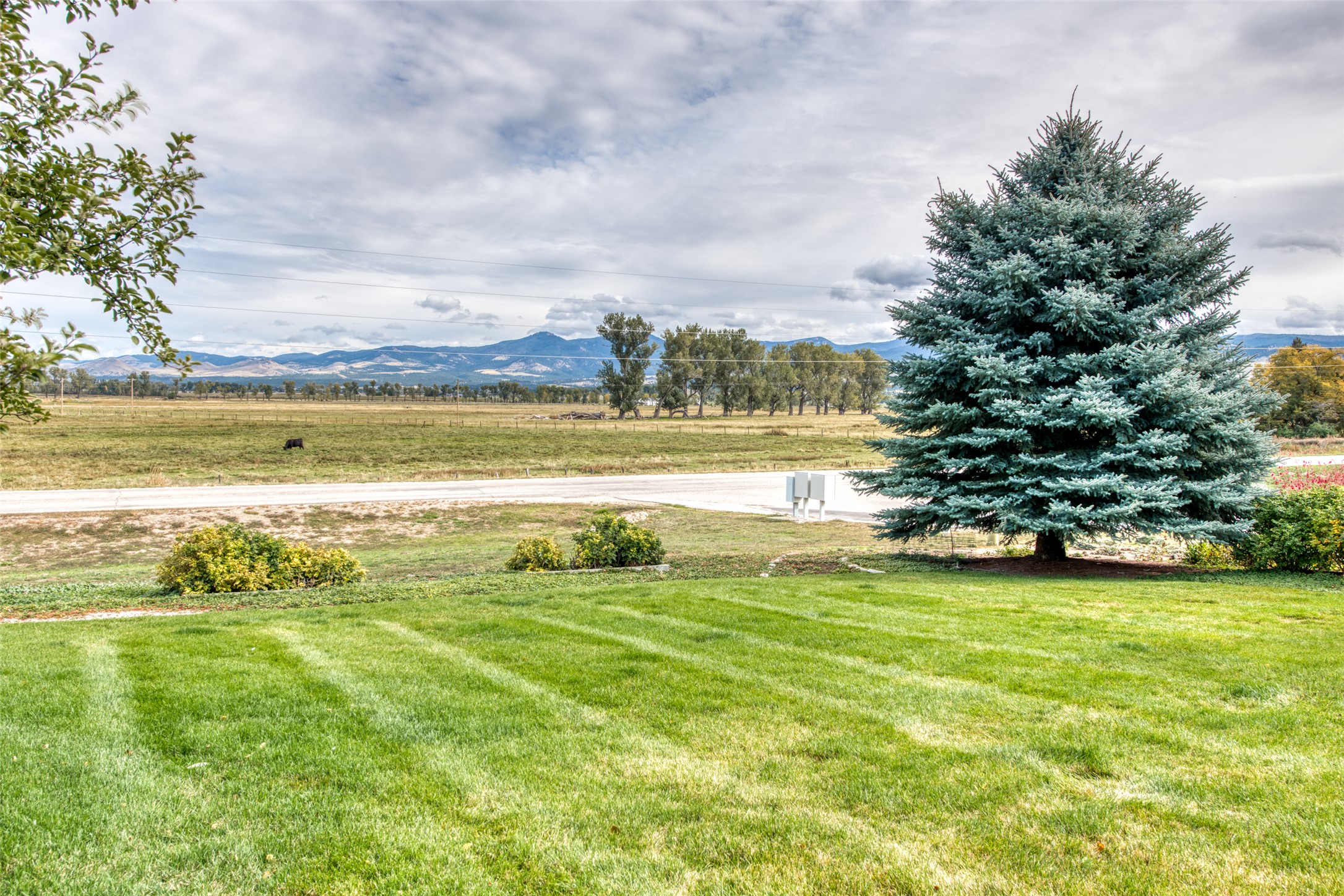 418 Lower Sky Way Property Photo 51