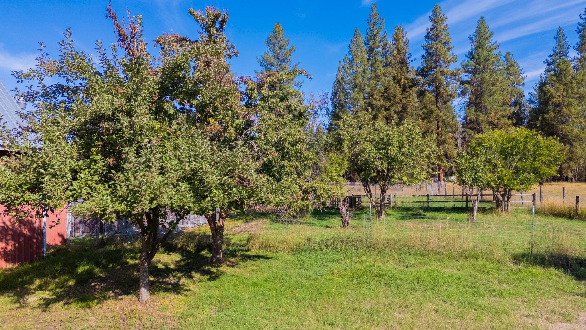 18985 Leo Hanson Road Property Photo 27