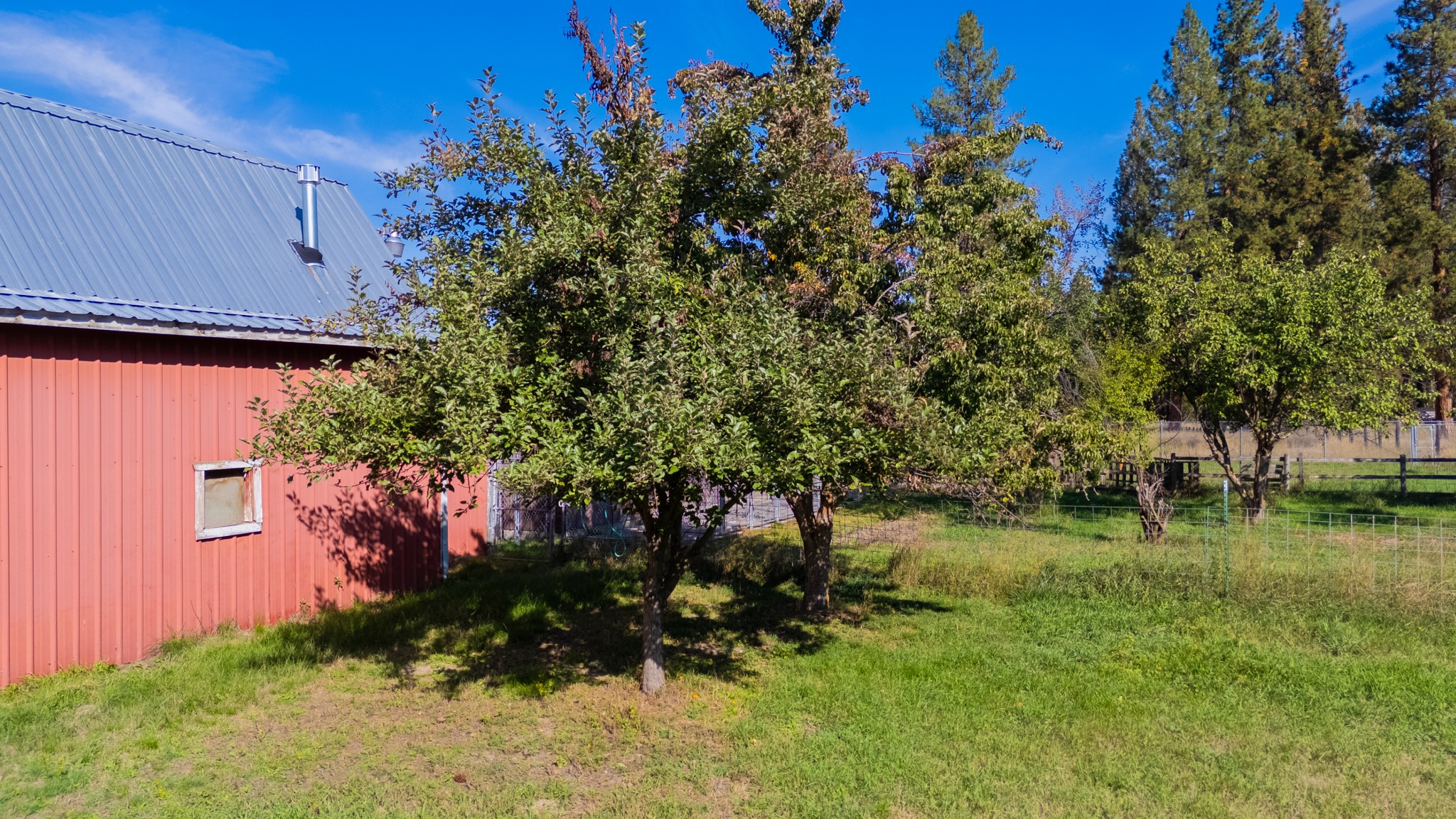 18985 Leo Hanson Road Property Photo 28