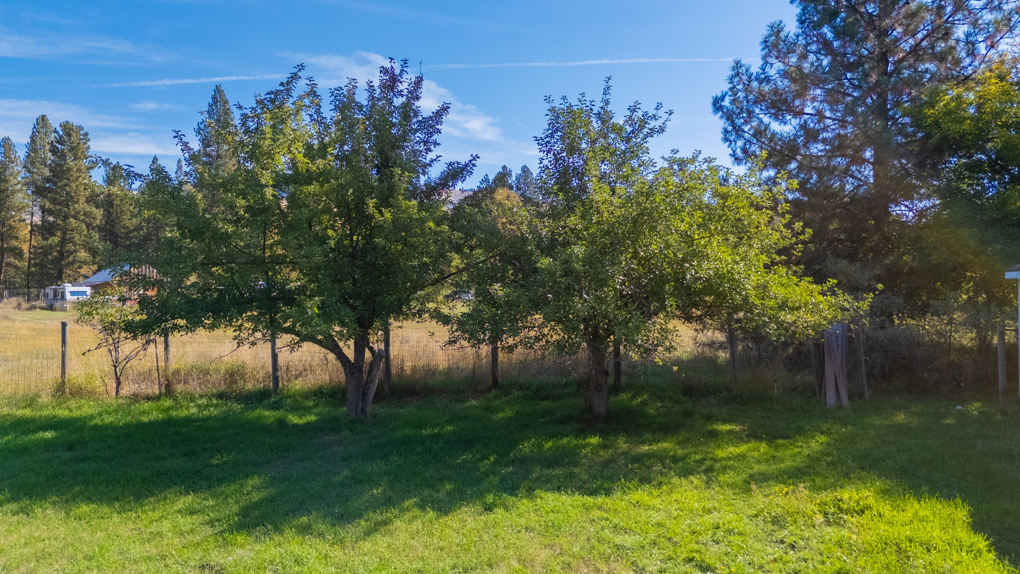 18985 Leo Hanson Road Property Photo 29