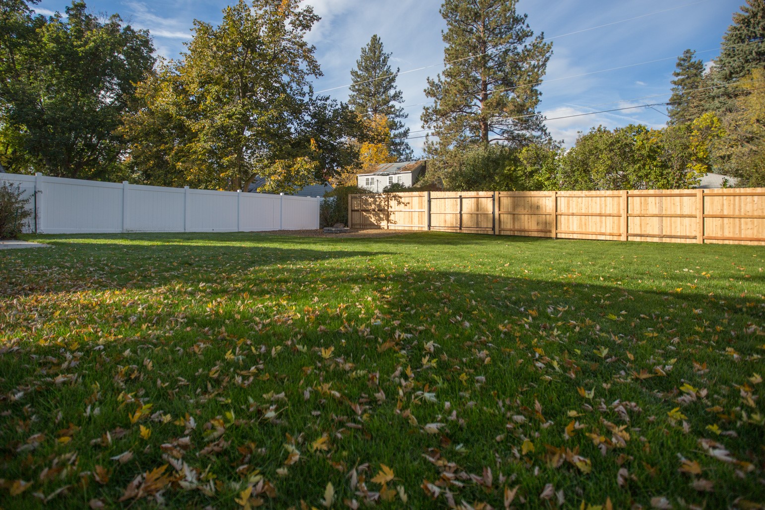 905 S 2nd Street Property Photo 4