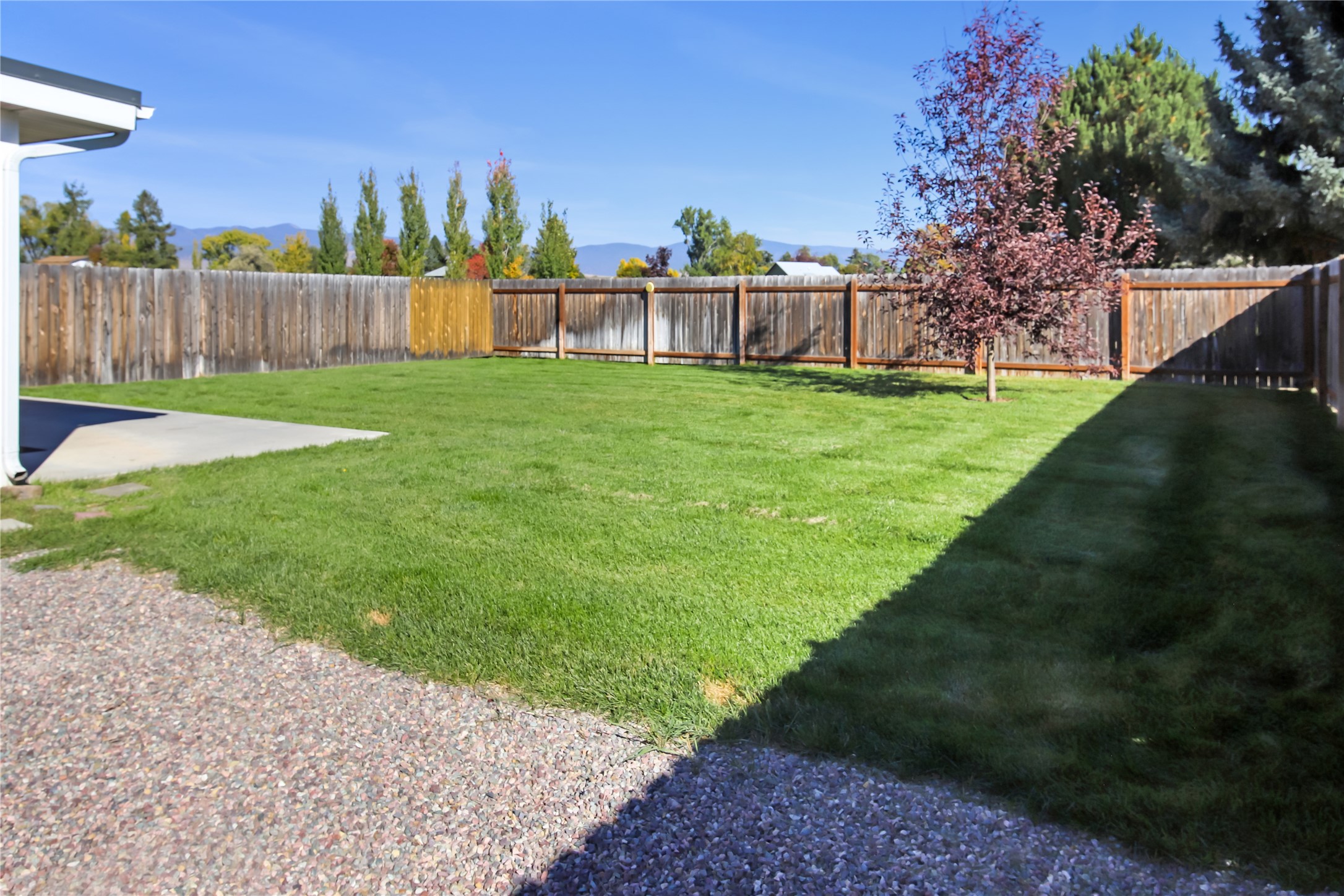 1041 Como Drive Property Photo 44