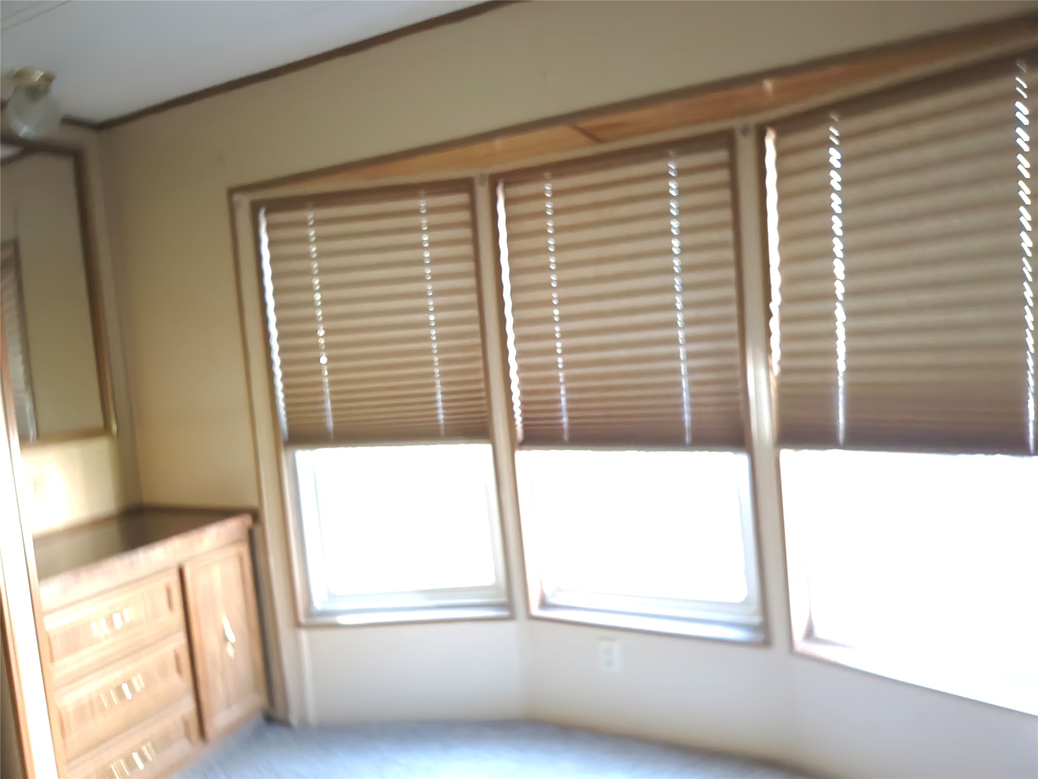 2511 Walnut Street Property Photo 17