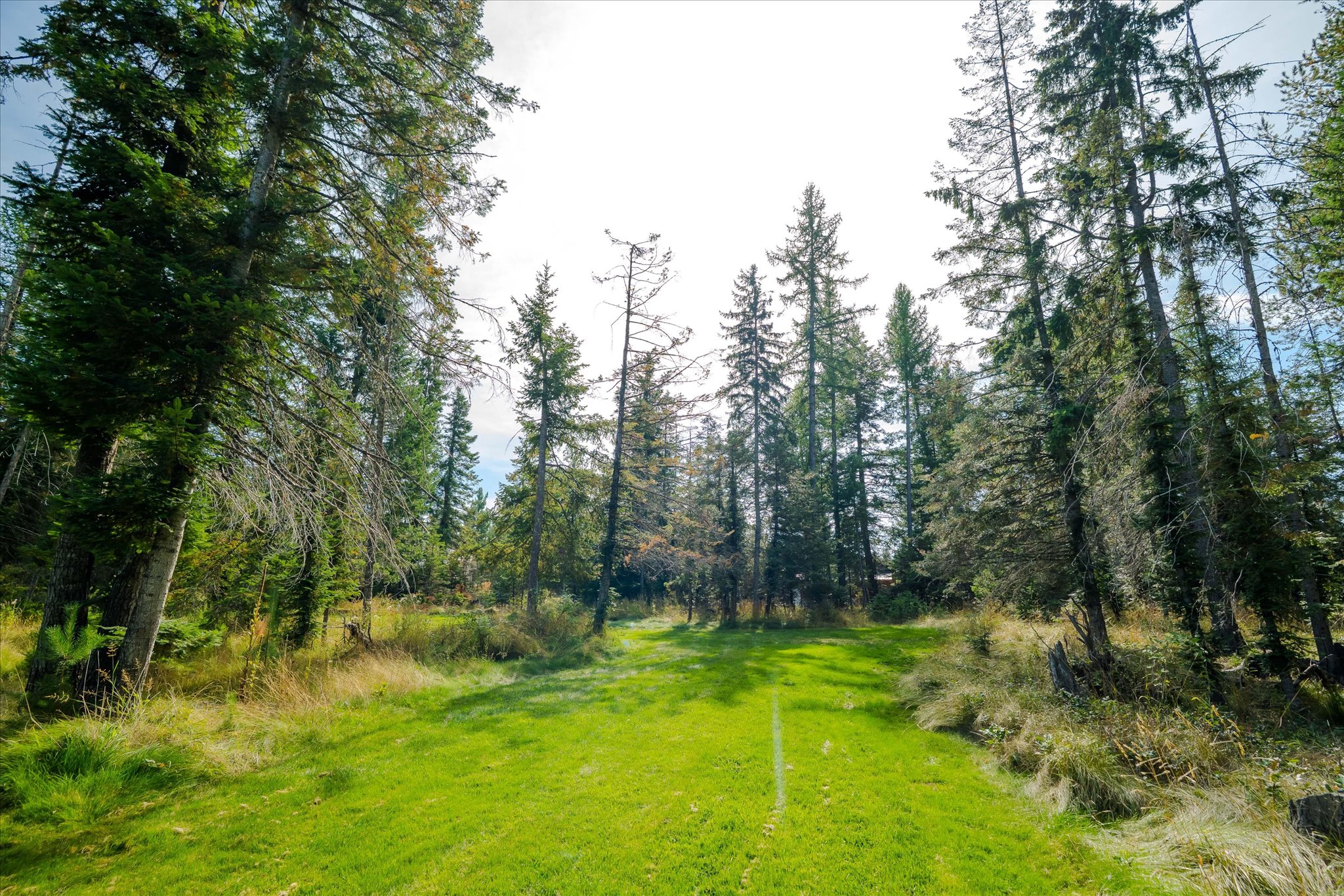 4955 Foothill Road Property Photo 46