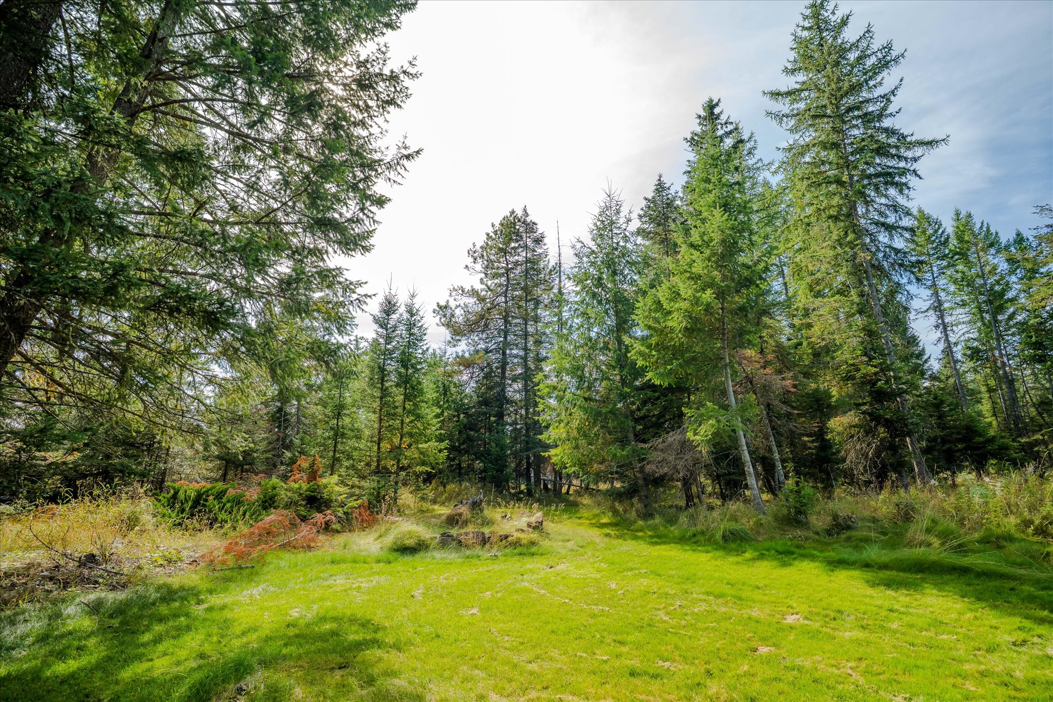 4955 Foothill Road Property Photo 48