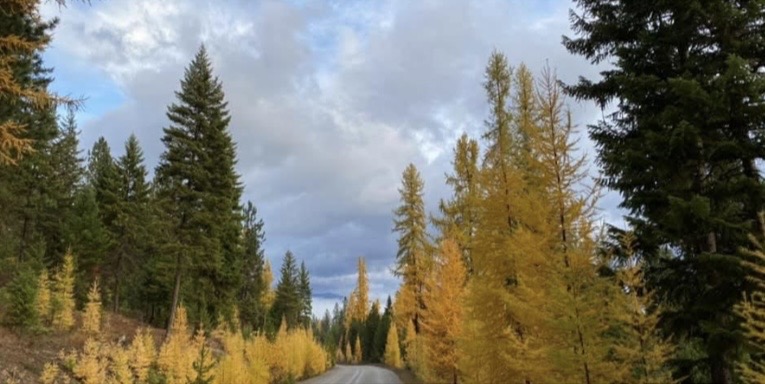 Lot 8 Panoramic View Drive Property Photo 18